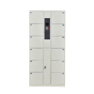 CE Electronic Delivered Parcel Locker For Gy