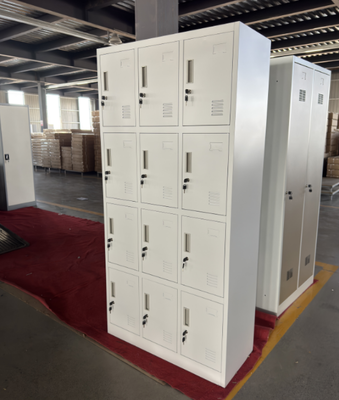 12 Door Steel Storage Locker Cabinet for Staff Changing Rooms and Workplace Storage