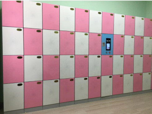 Automatic Invalidation Office Storage 3mm Residential Parcel Locker